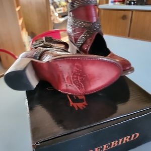 Freebird red croc Saphire size 8